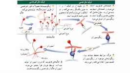 بررسی تولید مثل قارچها توسط دكتر معصوم نیا