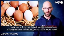 تفاوت تخم مرغ سفید قهوه ای