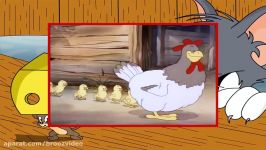 Tom y Jerry Episodio 8  Amigo de plumas finas 1942