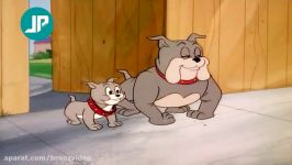 Tom and Jerry Full Episodes The Puppy Sitter 1980  Cartoons Classic Videos