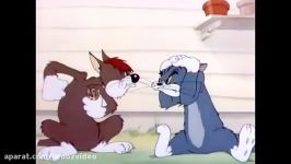 Tom and Jerry  Sufferin Cats