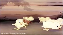 Tom and Jerry cartoon Fine Feathered Friend 1942  Golden collection