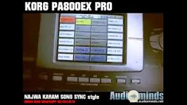 KORG PA800 EX PRO 1