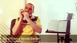 Song From a Secret Garden Harmonica cover Iman Rahimipour