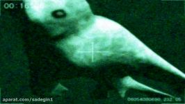 5 Mysterious Gigantic Creatures Accidentally Caught On Camera