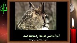 راه ایجاد شرمندگی در مقابل خدا  انکار تا اقبال.