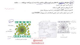 حل تست زیست شارش انرژی