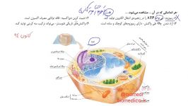 حل تست زیست شارش انرژی