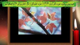 نشانه کوچکی انسانها در چند ثانیه  انکار تا اقبال.