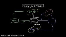 Treating type II diabetes  Pharmacology  Endocrine system diseases  NCLEX RN  Khan Academy