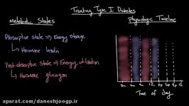 Treating type I diabetes  Endocrine system diseases  NCLEX RN  Khan Academy