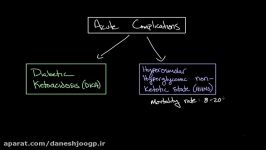 Acute plications of diabetes  Hyperosmolar hyperglycemic nonketotic state  Khan Academy