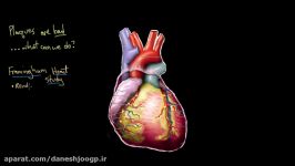 Risk factors for coronary artery disease  Circulatory System and Disease  NCLEX RN  Khan Academy