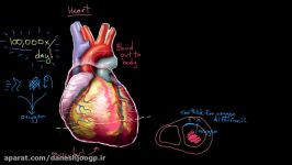 What is coronary artery disease  Circulatory System and Disease  NCLEX RN  Khan Academy