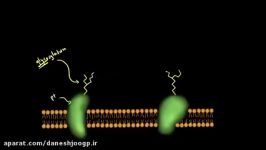 Protein modifications  Biomolecules  MCAT  Khan Academy