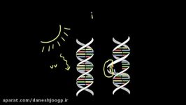 DNA repair 2  Biomolecules  MCAT  Khan Academy