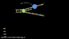 DNA repair 1  Biomolecules  MCAT  Khan Academy