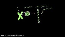 Nucleic acid structure 1  Chemical processes  MCAT  Khan Academy