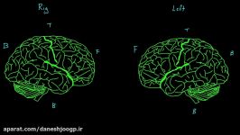 Hemispheric differences and hemispheric dominance