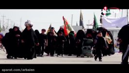 گزارش تصویری مشایه اربعین امام حسین علیه السلام 8 حسین اللامی، کربلا، 1438 ق