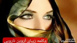 دکلمه.فوق العاده.زیبای.آروین نارویی