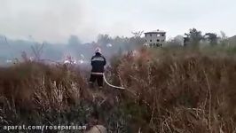 اطفای حریق توسط آتش نشانان لاهیجان