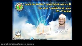 استادشحات محمد انور۲