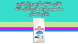 غذای خشک گربه رویال کنین مخصوص گربه های داخل خانه