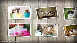 Cats and Kittens Jigsaw Puzzles Game for Kids  App Gameplay Video