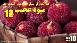۱۲تا میوه های عجیب دنیا. Top 10 farsi