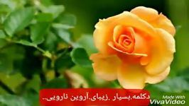 دکلمه.آروین نارویی.به نام.بنویس