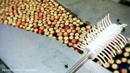 Processing and sorting lines for Apples  UNITEC