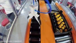 Packing robot for fruits and vegetables