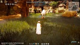 EXP Difference between lvl 59 and lvl 60  Black Desert Online