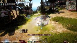 Pirates Main Rotation team EXP  Black Desert Online