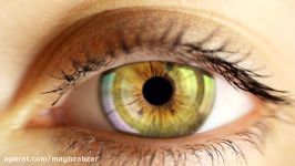 قالب افترافکت مجموعه 7 تیزر نمایش لوگو Deep Eyes