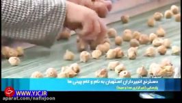 انجیری خون دلش را باغدارها می خورند