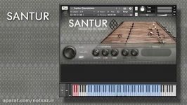 وی اس تی سنتور ایرانی Cinematique Instruments Santur