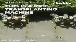 دستگاه نشاکاری برنج ، ساده کاربردی