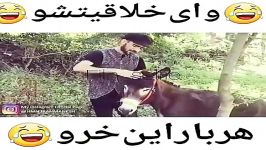 کلیپ خنده دار هر بار این خرو