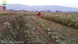 GREAT FARM Sesame harvester cutting machine