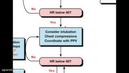 NRP Chest Compressions Ventilations by ACLS Certification Institute