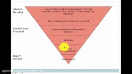 Neonatal Resuscitation Powerpoint Presentation