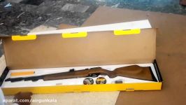 PCP Air Rifle PR900W Unboxing and Shooting Review