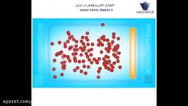 BET Physical adsorption