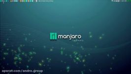 Manjaro Xfce 6 month report