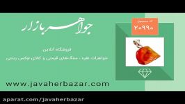 مدال کهربا حشره ای بولونی لهستان خوش رنگ  کد 20990