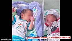 ماجرای هجوم مورچه ها به نوزادان رها شده در کنار سطل زباله بیمارستان در بندرعباس