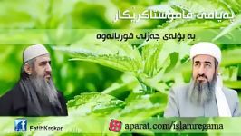 پیام تاثیر گذار جناب ماموستا كریكار به مناسبت عید قربان