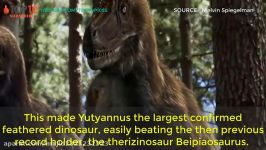 THE TOP 10  TOP 10 Carnivorous Dinosaurs  Tyrannosaurus Troodon Allosaurus